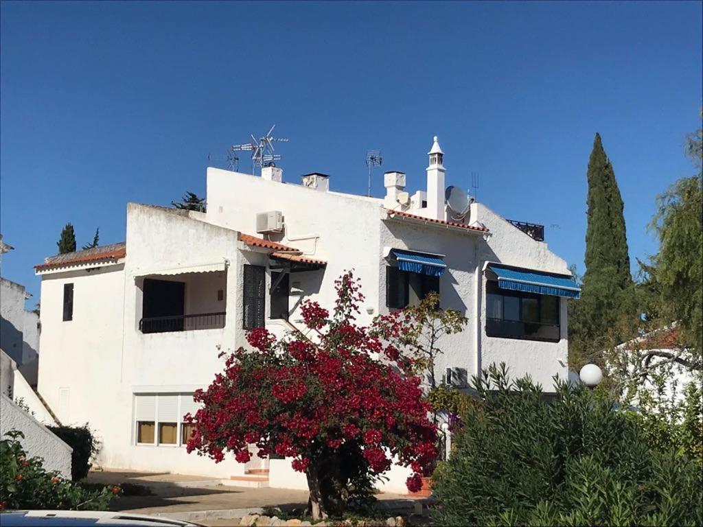 T0 Pedras D'El Rei Lägenhet Tavira Rum bild